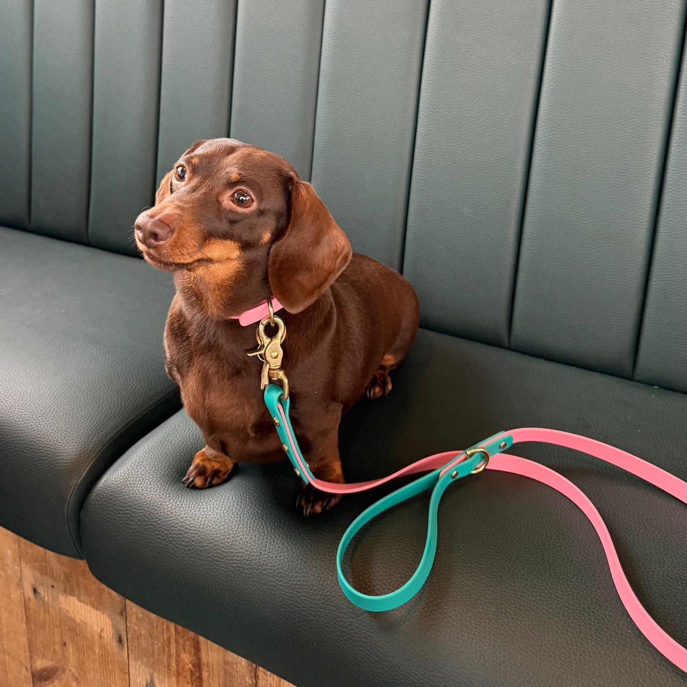 Babble Pink Colourblock BioThane® Collar