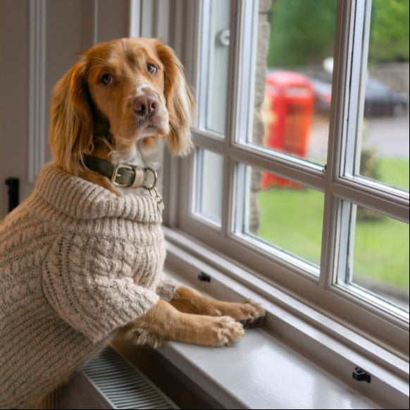Marley Colourblock BioThane® Collar