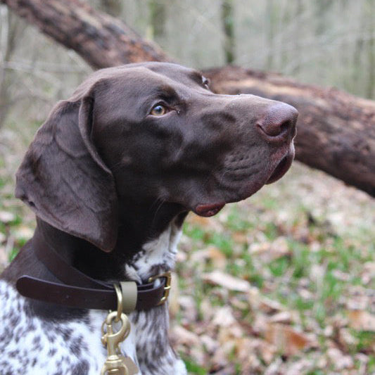 Nox Colourblock BioThane® Collar