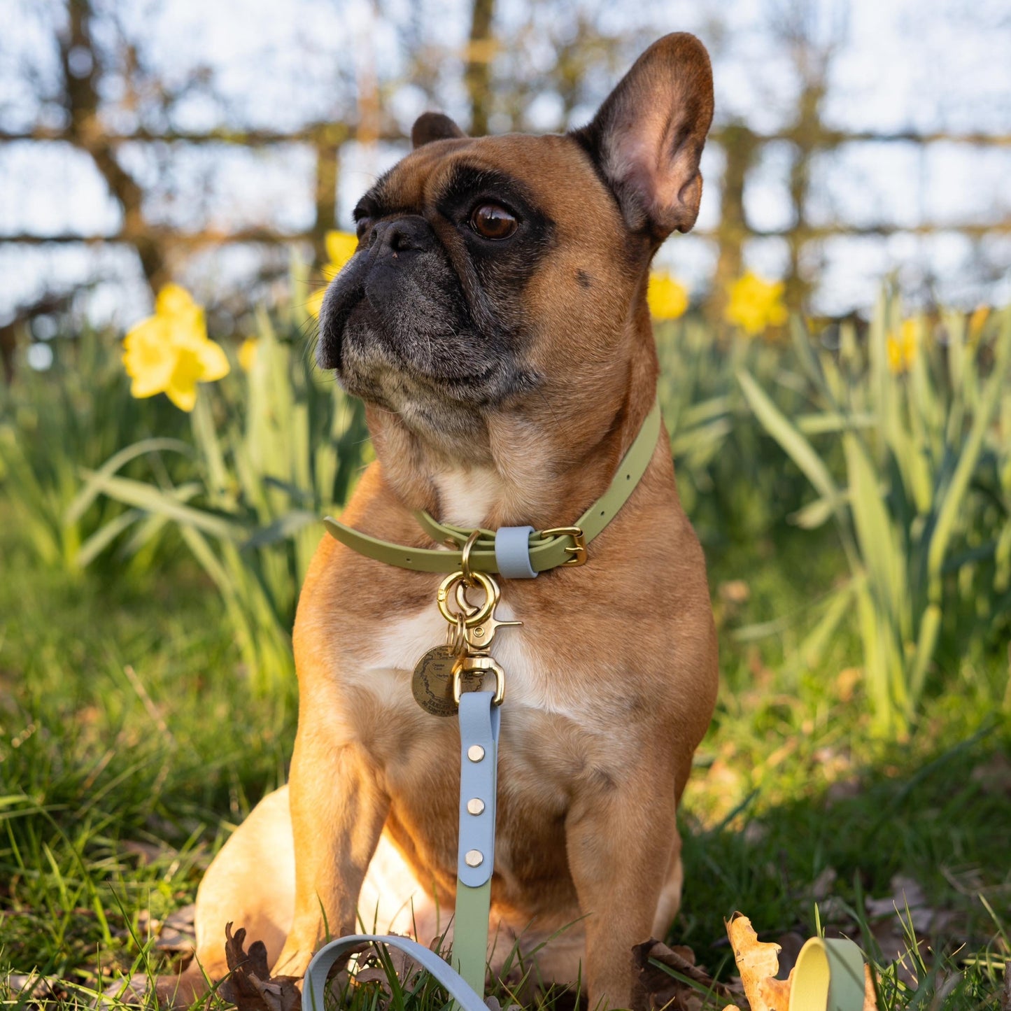 Arlo Colourblock BioThane® Collar