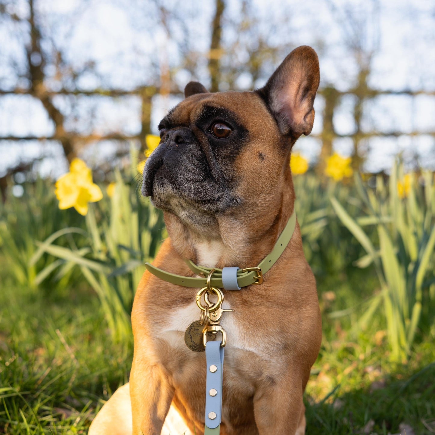 Arlo Colourblock BioThane® Lead