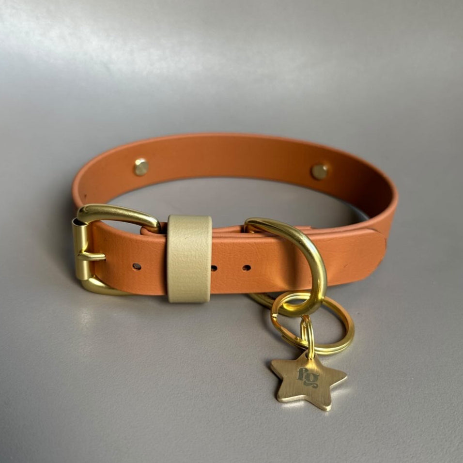 Bark & Vibe X Franks Goods BioThane® Colourband Collar