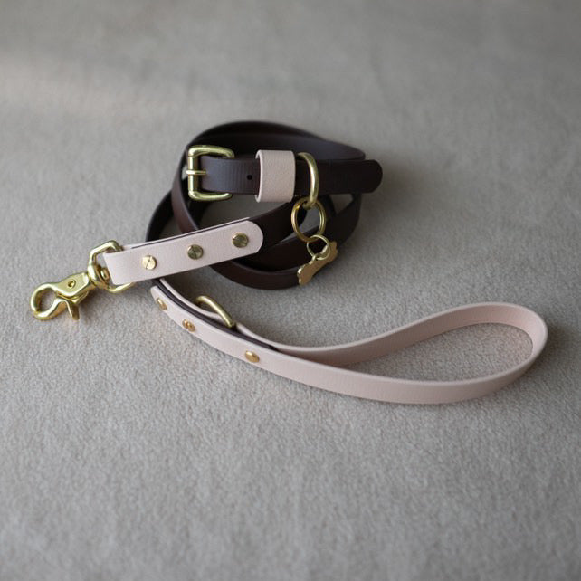 Bryn Colourblock BioThane® Lead