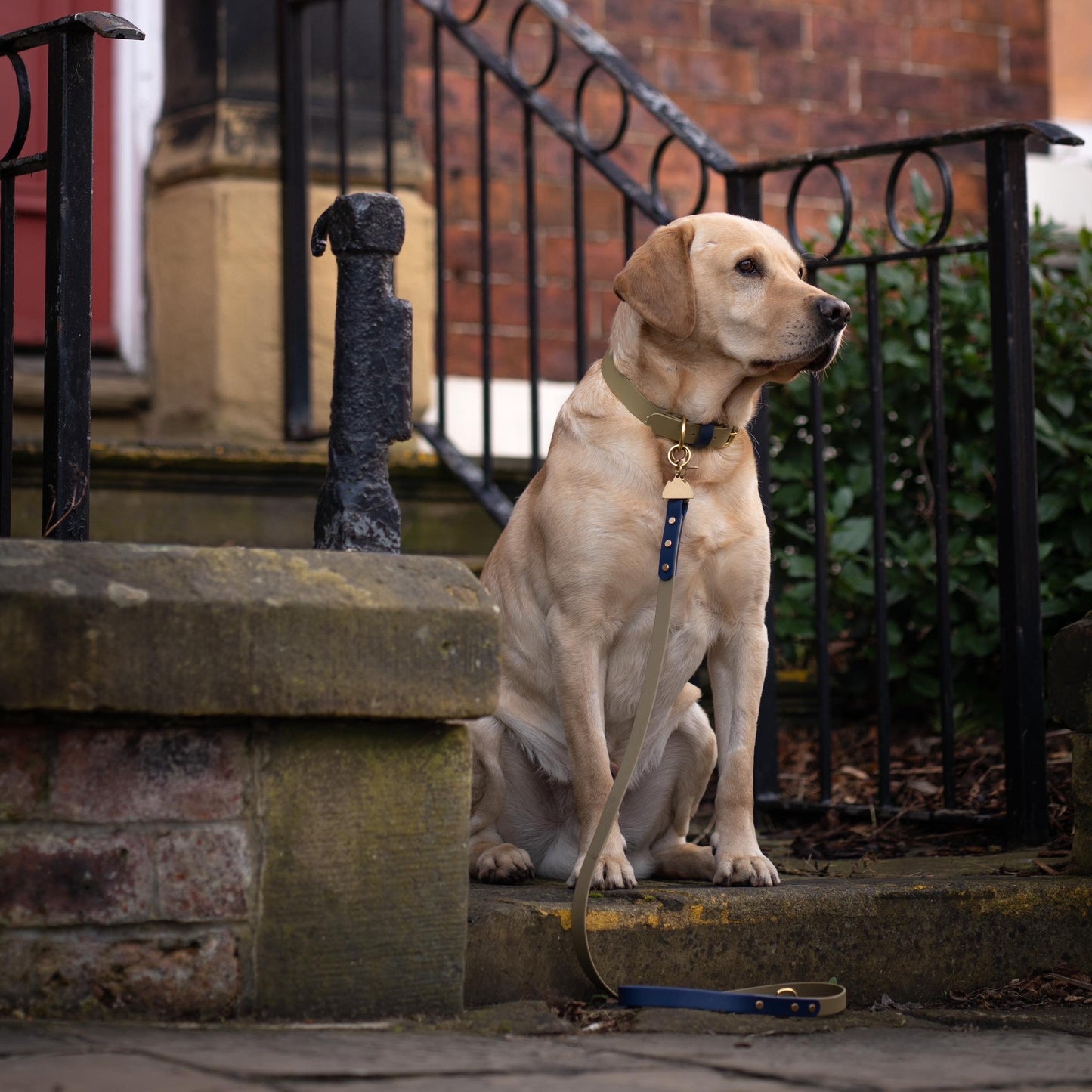 Deefa Colourblock BioThane® Collar