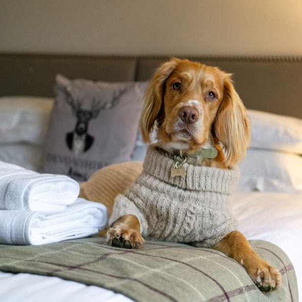 Marley Colourblock BioThane® Collar