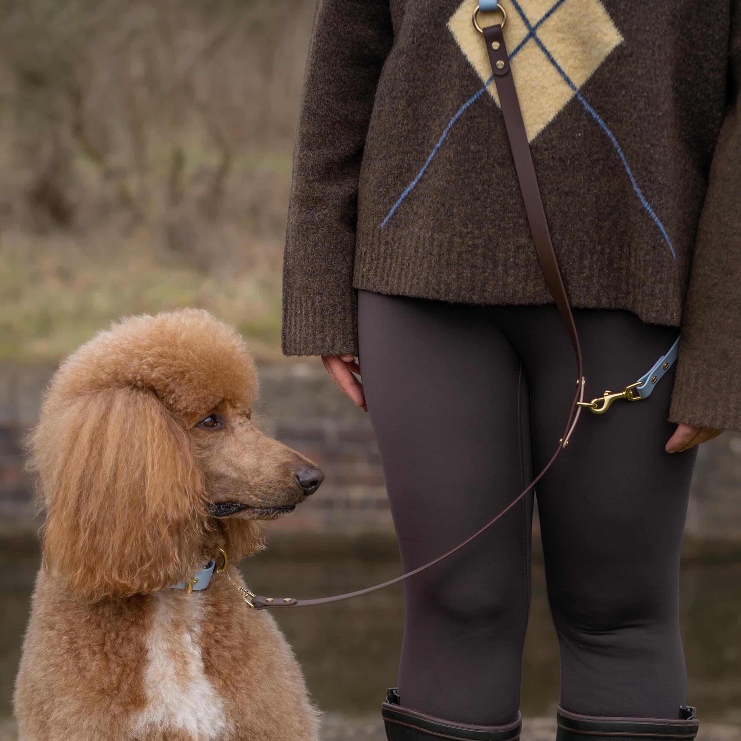 Reuben Crossbody Multiway BioThane® Lead