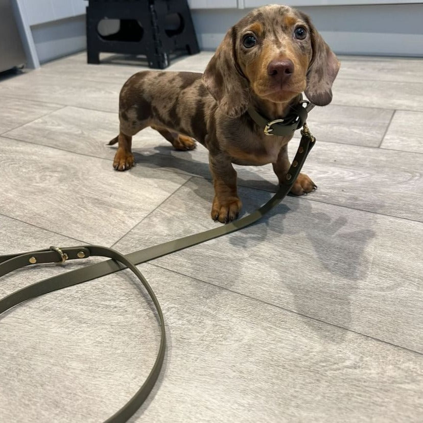 Olive BioThane® Collar