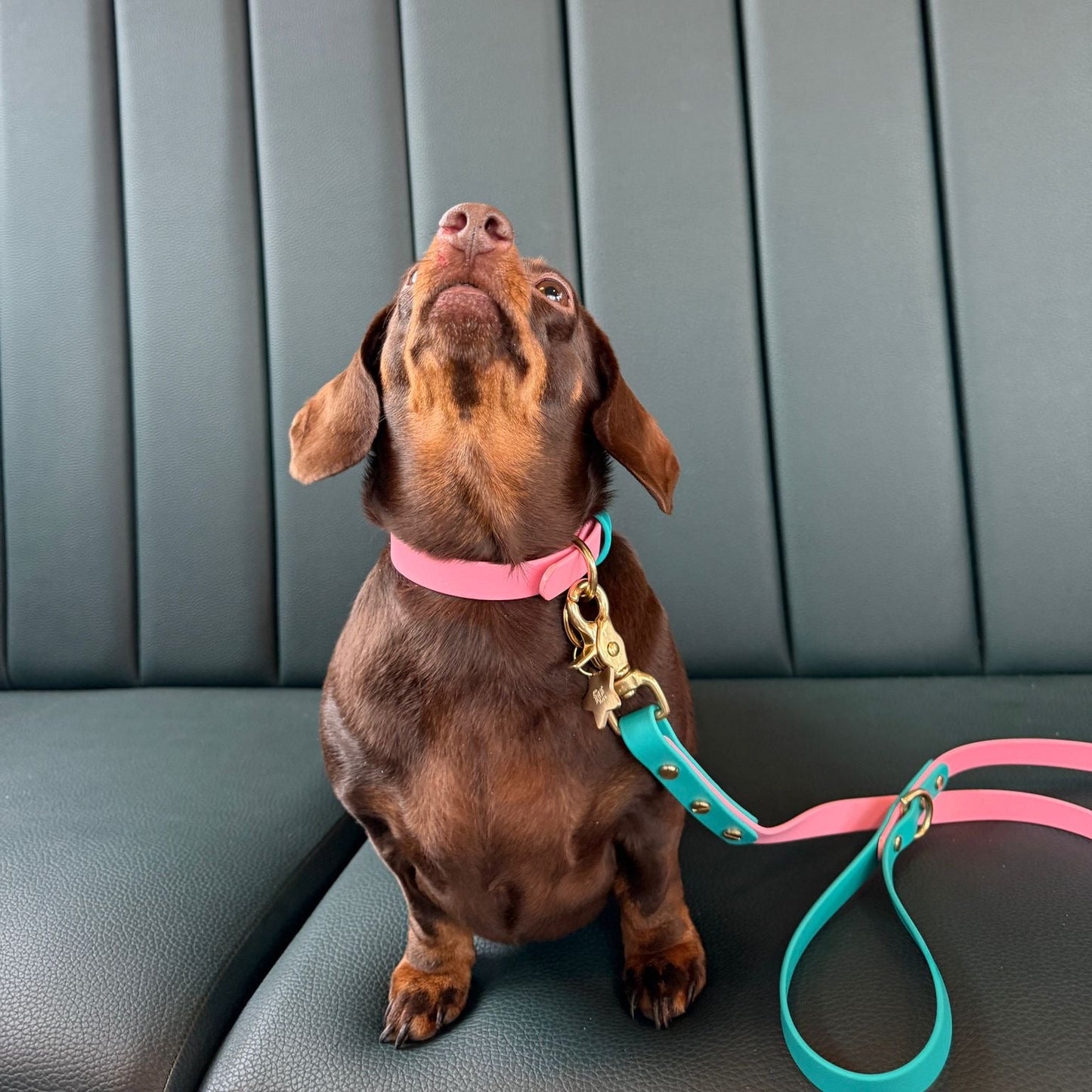 Babble Pink Colourblock BioThane® Collar