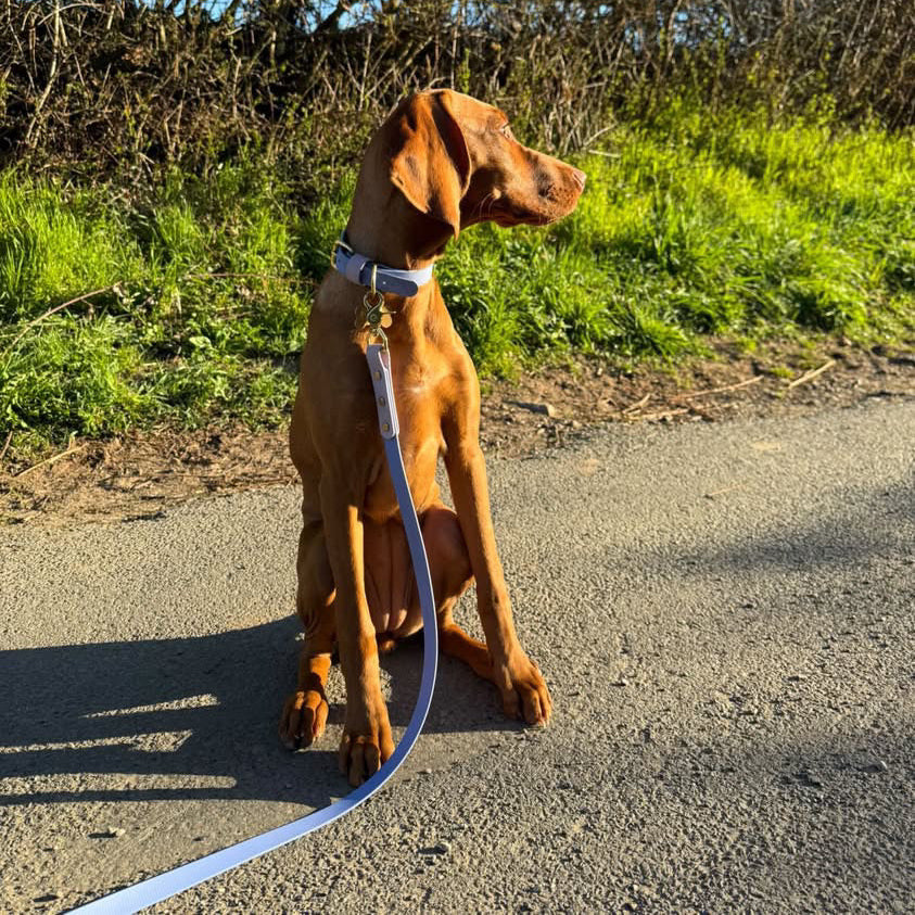 Shelby Colourblock BioThane® Collar