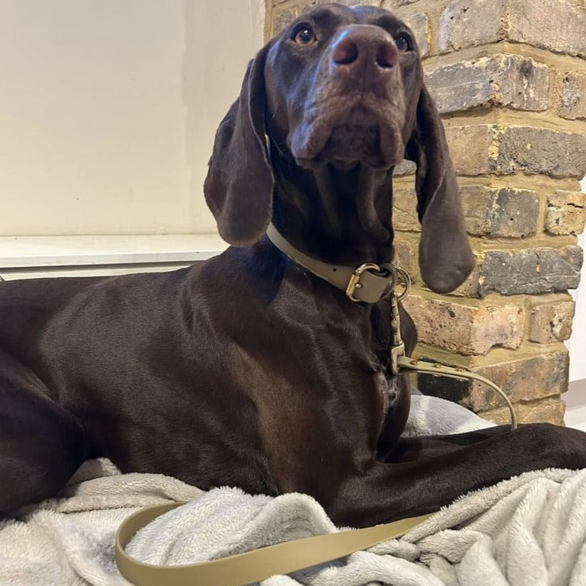 Khaki BioThane® Lead