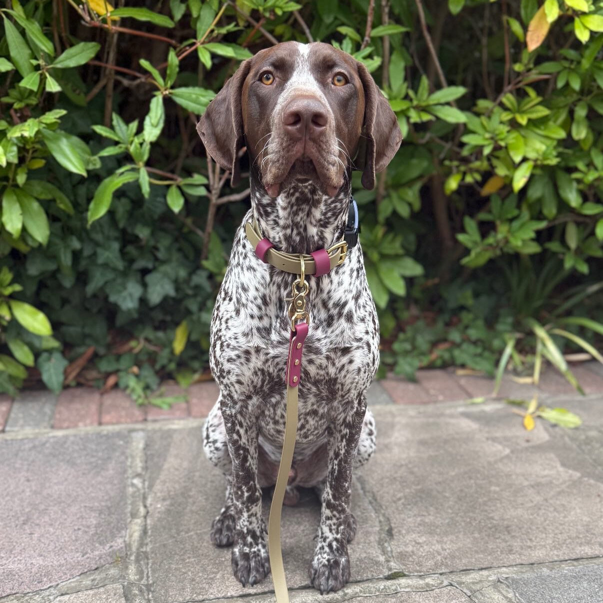 Mavis Colourblock BioThane® Collar