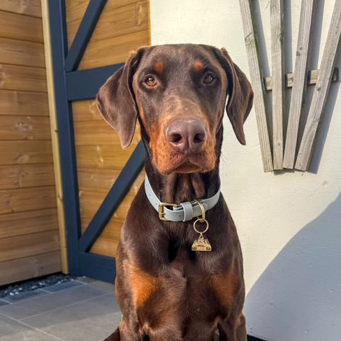 Silver BioThane® Collar
