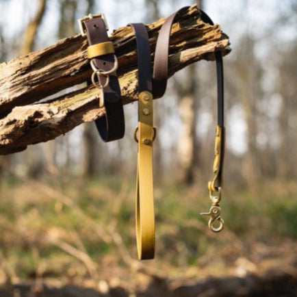 Vini Colourblock BioThane® Collar