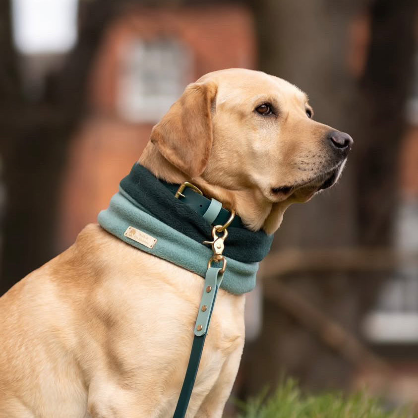 Merlin Colourblock BioThane® Collar