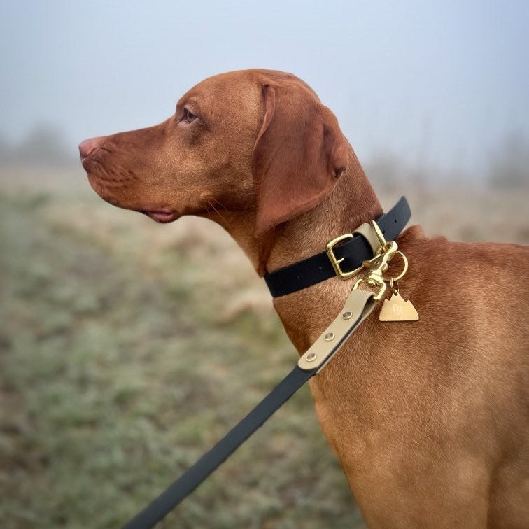 Albie Colourblock BioThane® Collar