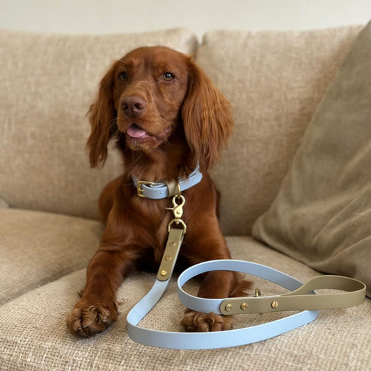 Dune & Sky Colourblock BioThane® Collar
