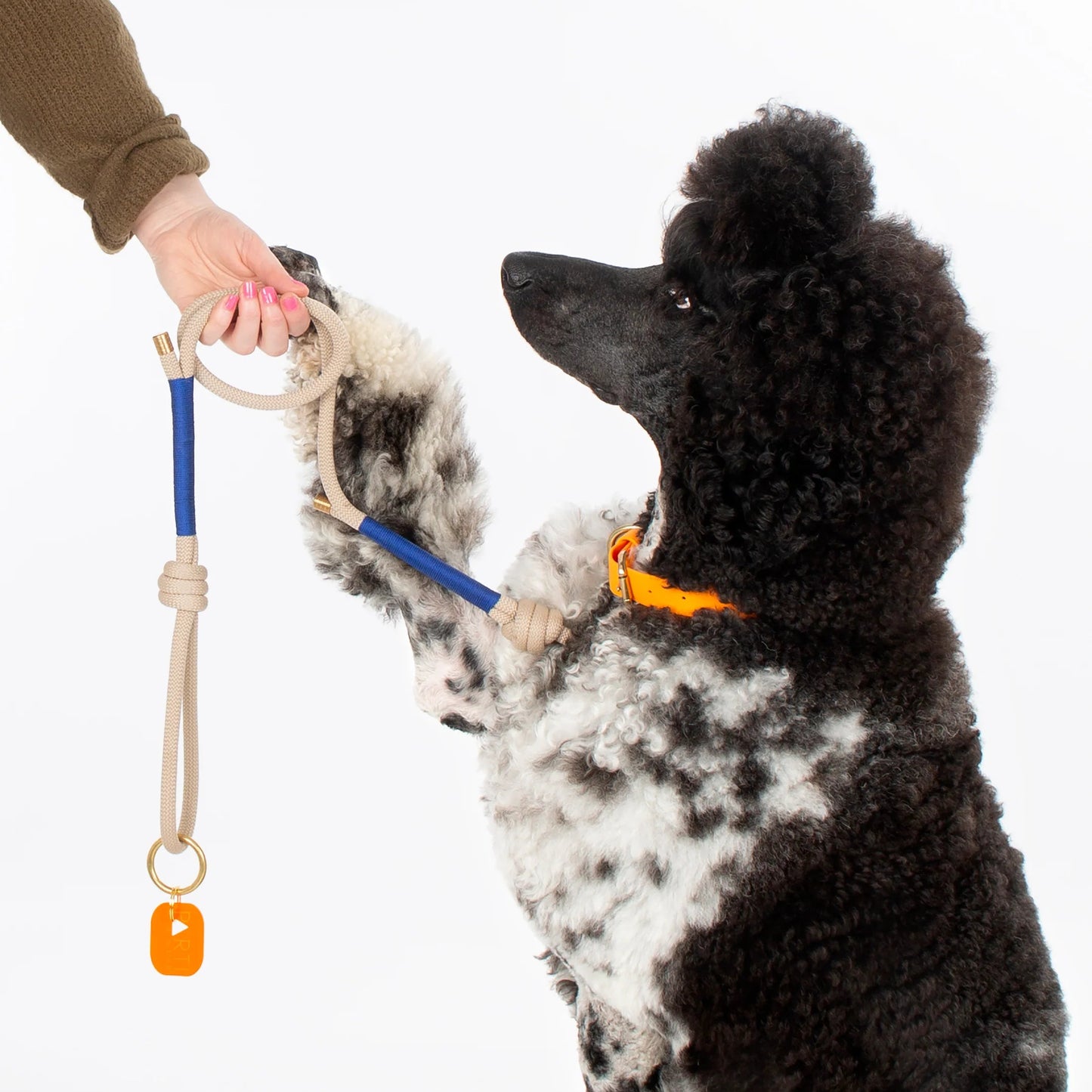 Rope Parti Dog Wear Lead