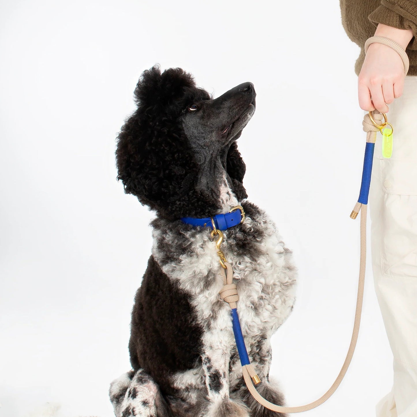 Rope Parti Dog Wear Lead