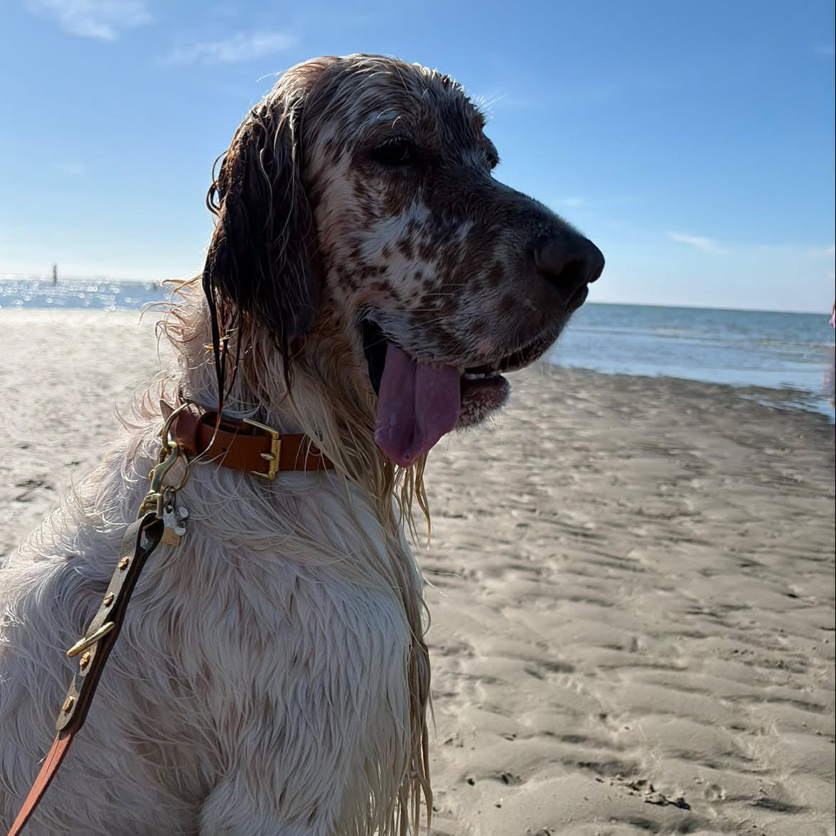 Tan BioThane® Collar