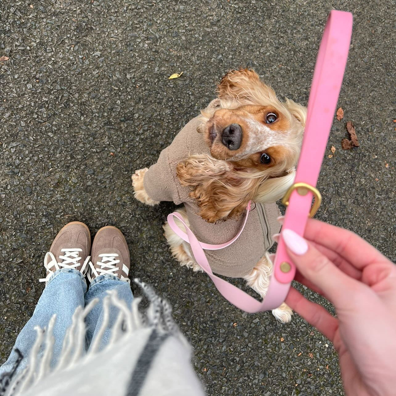 Moo's Colourblock BioThane® Collar