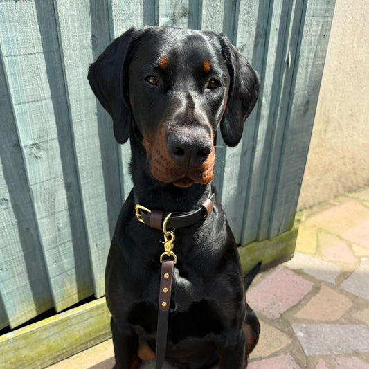 Nero Colourblock BioThane® Collar