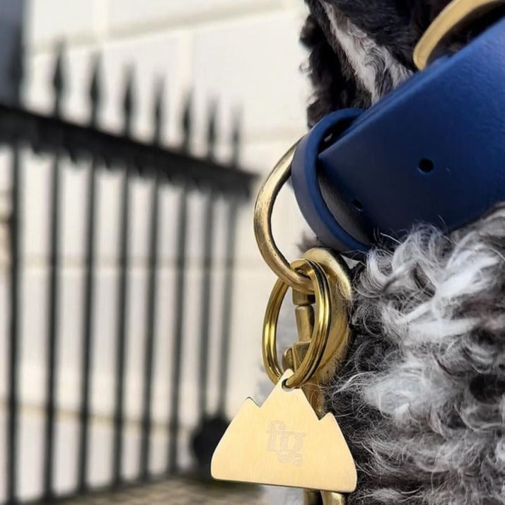 Cobalt Blue BioThane® Collar