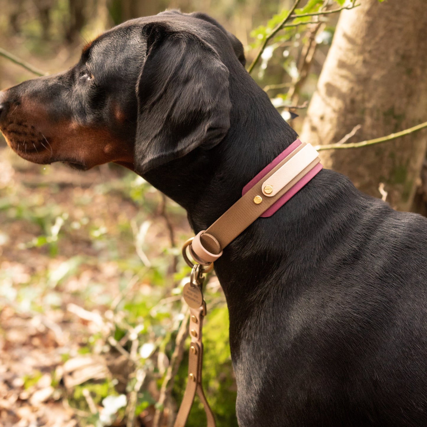 Merlot BioThane® Hound Style Collar