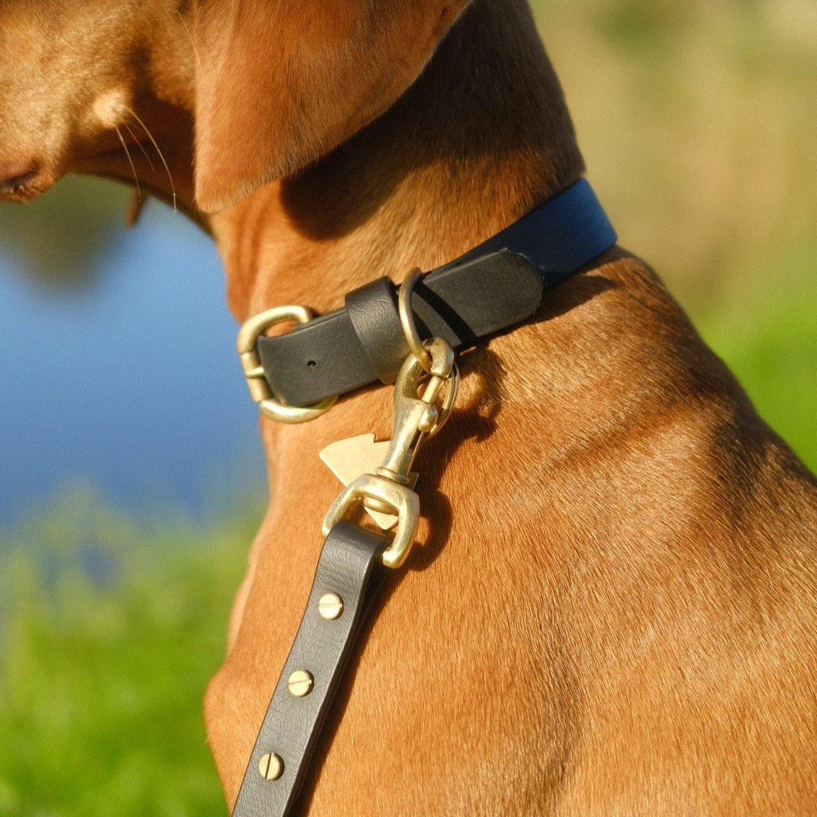 Black BioThane® Collar