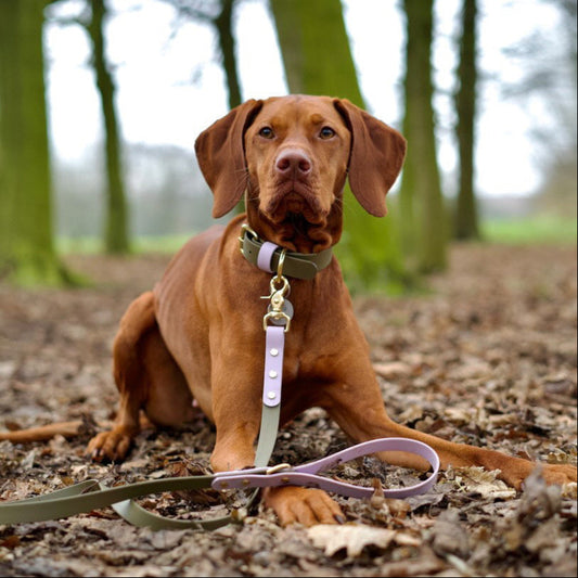 Saige Colourblock BioThane® Collar