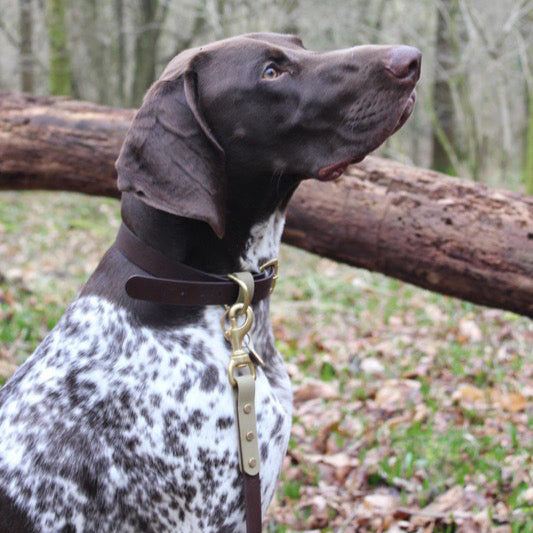 Nox Colourblock BioThane® Collar