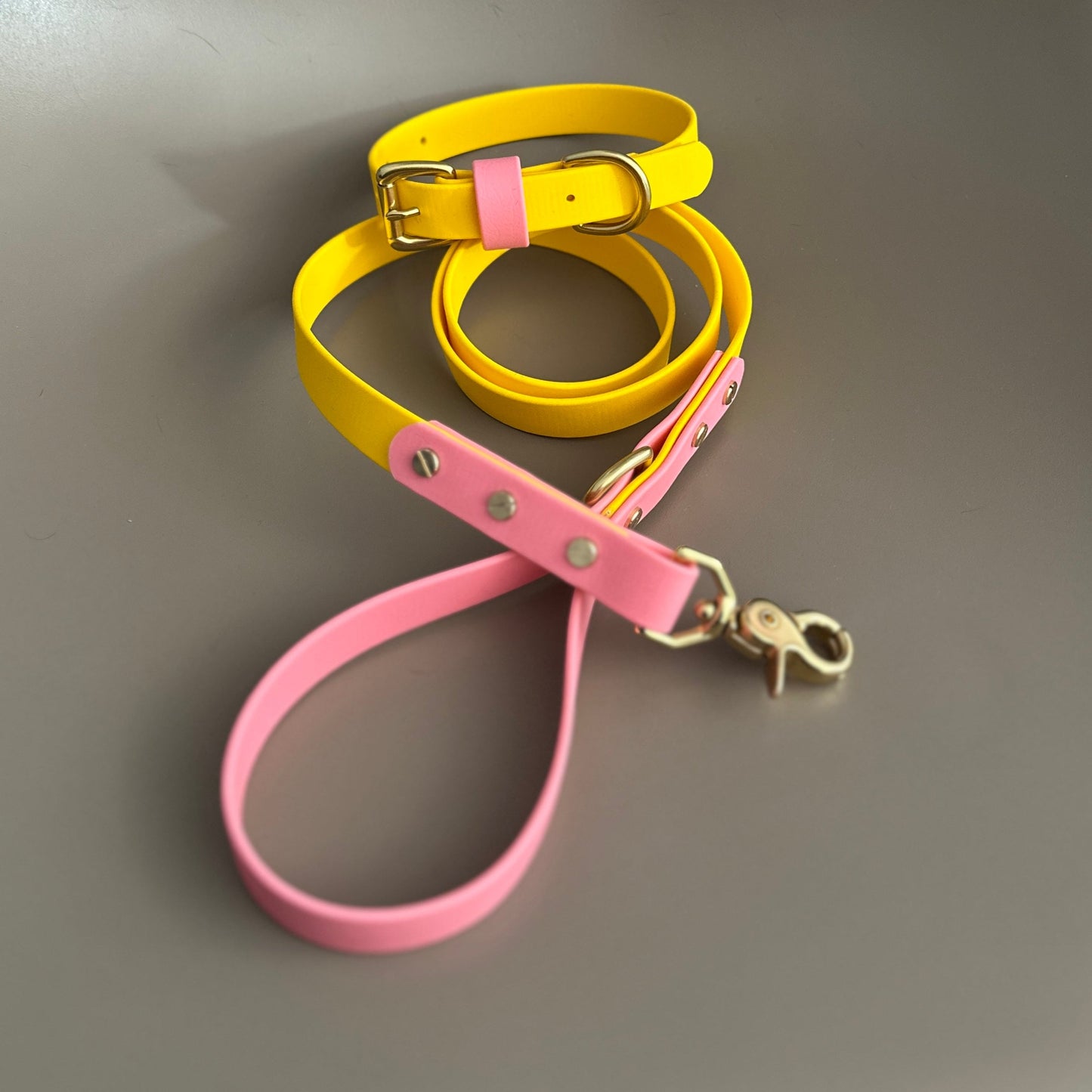 Parker Colourblock BioThane® Collar