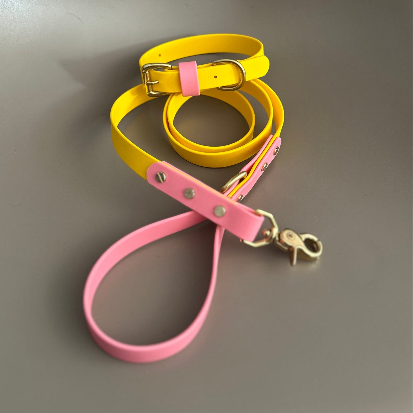 Parker Colourblock BioThane® Lead