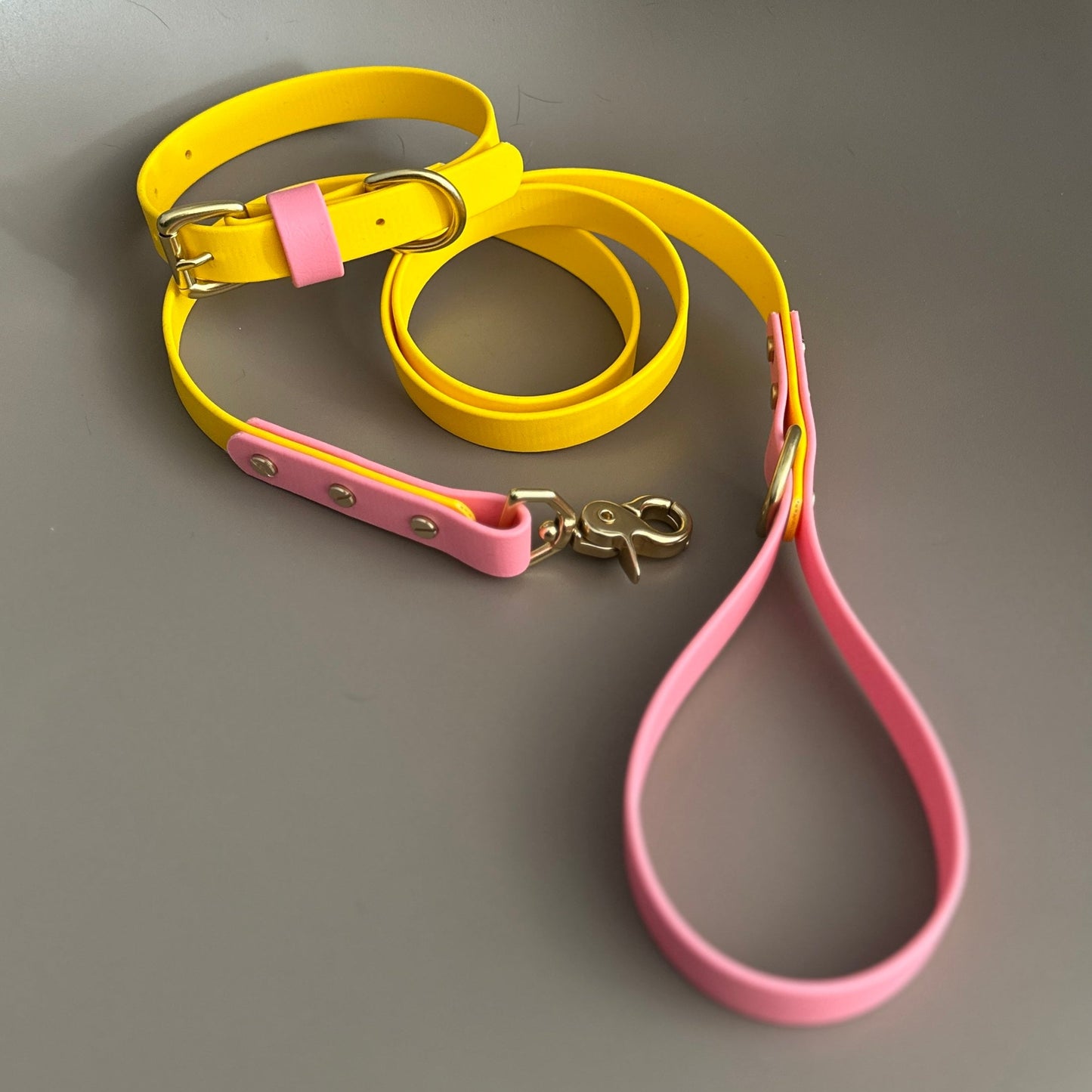 Parker Colourblock BioThane® Lead