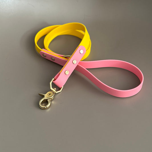 Parker Colourblock BioThane® Lead