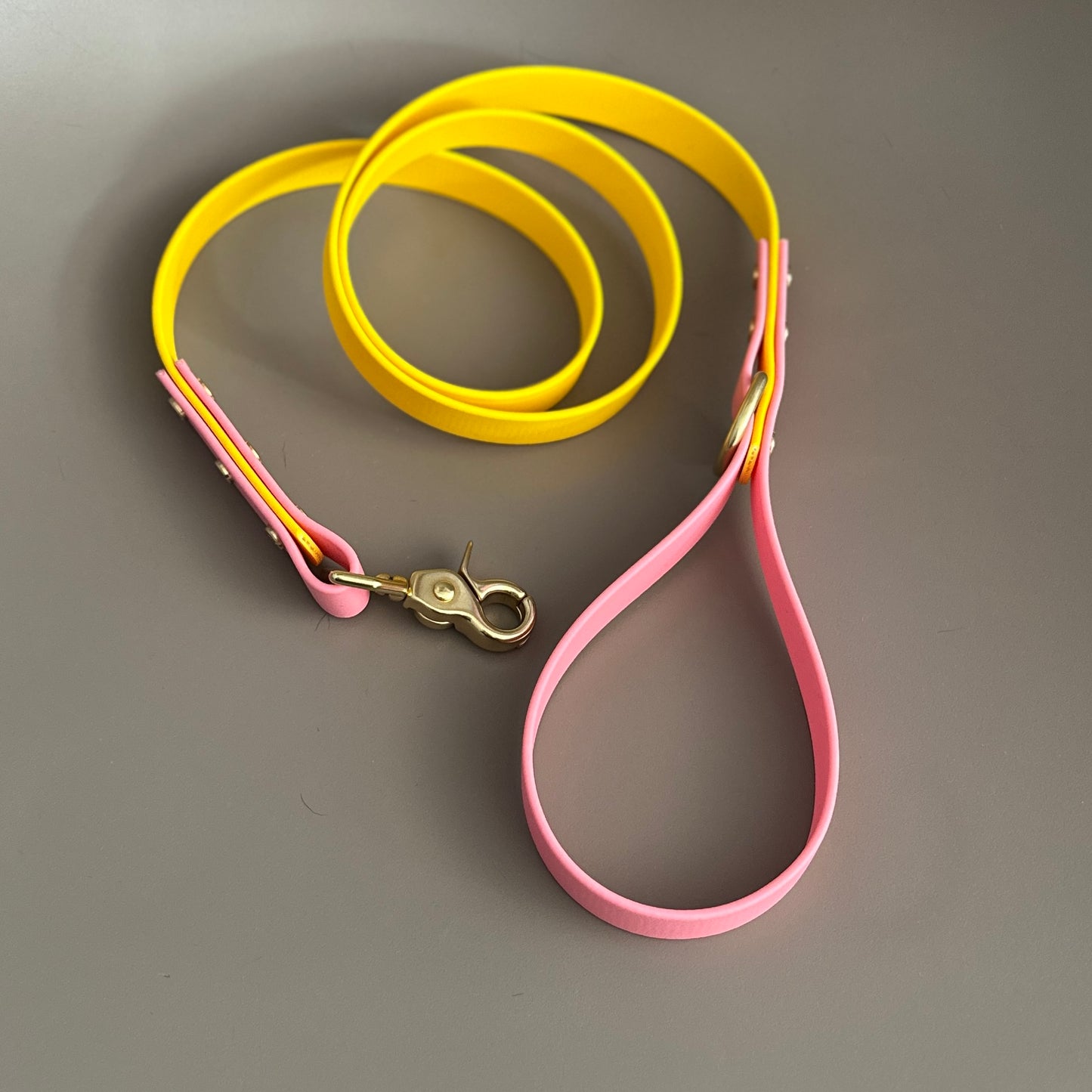 Parker Colourblock BioThane® Lead