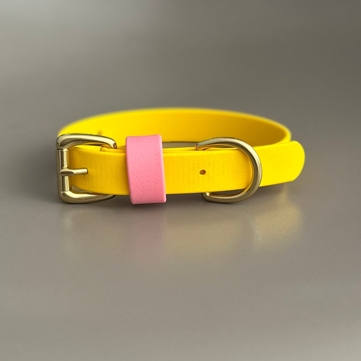 Parker Colourblock BioThane® Collar