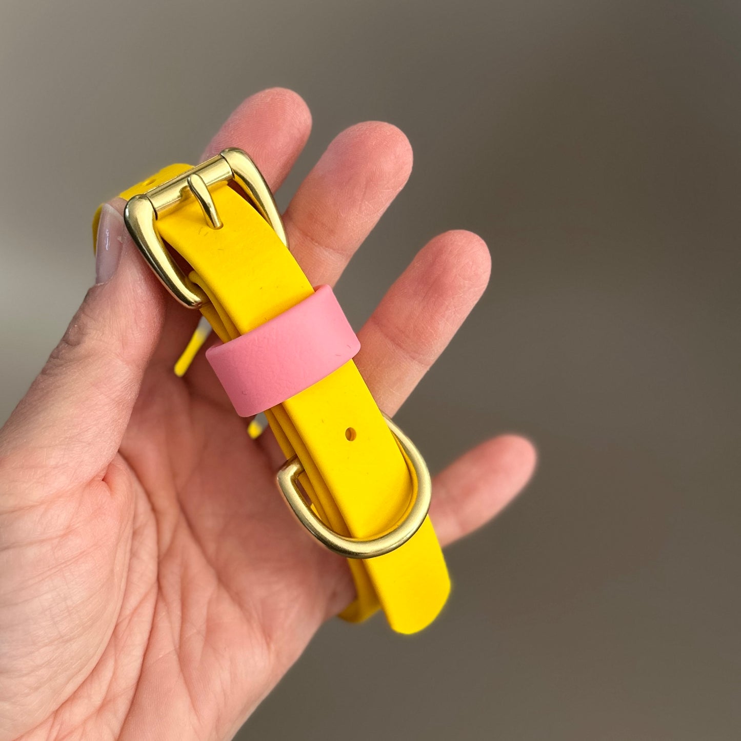 Parker Colourblock BioThane® Collar