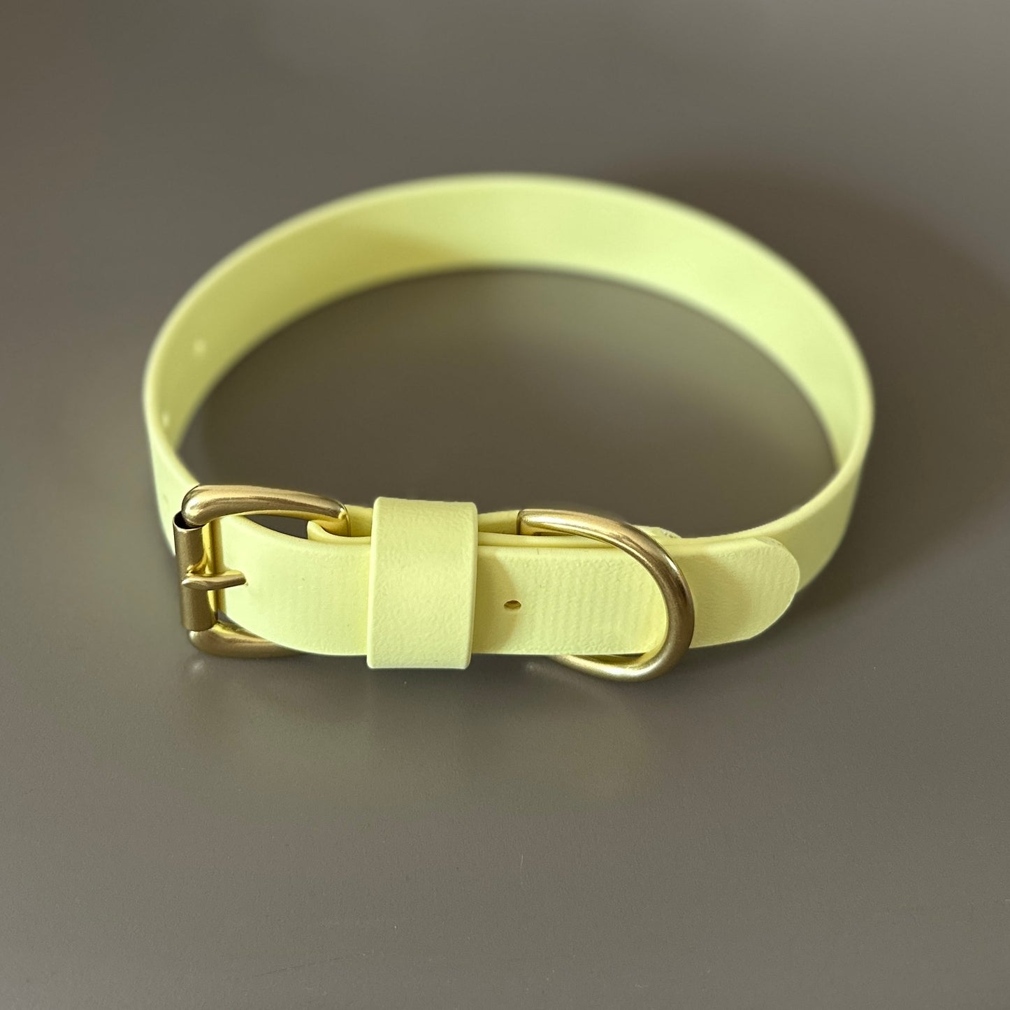 Lemonade BioThane® Collar