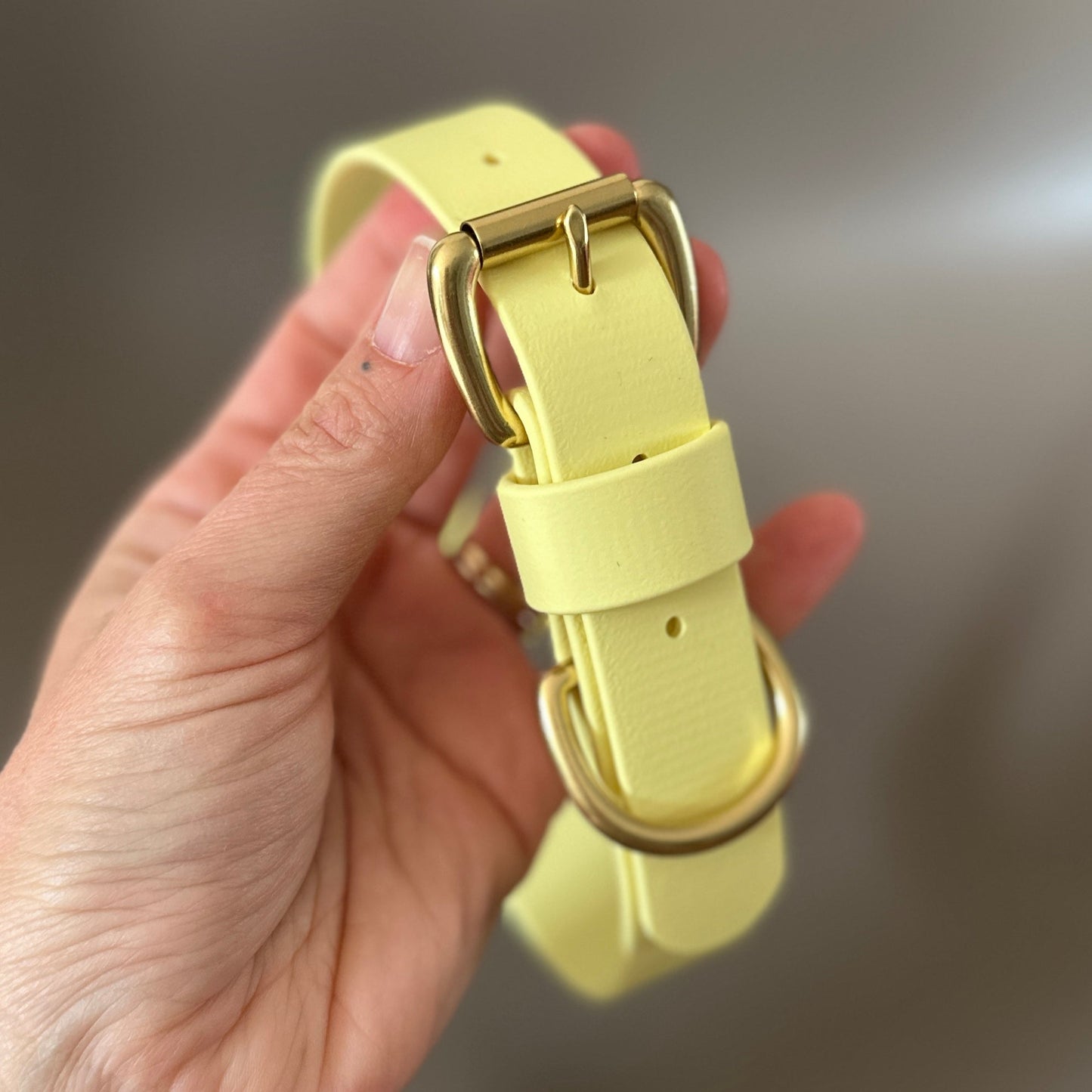 Lemonade BioThane® Collar