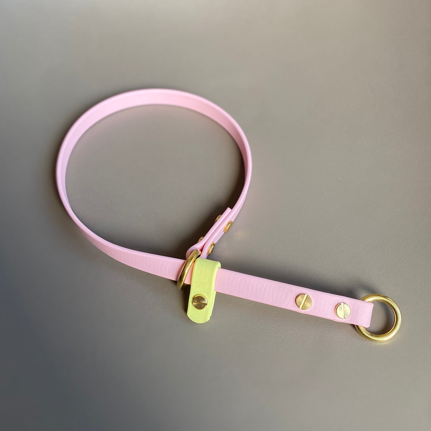 BioThane® 12mm Slip Collar