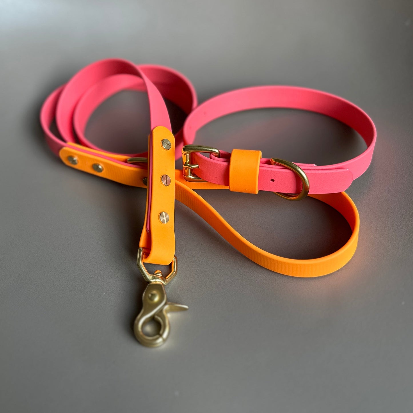 Roo Colourblock BioThane® Collar