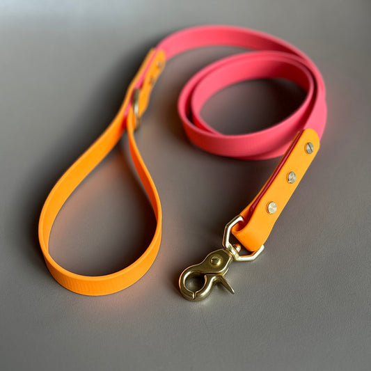 Roo Colourblock BioThane® Lead