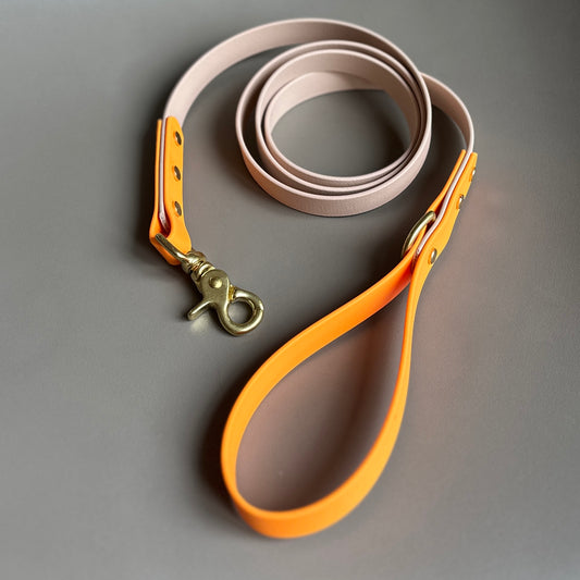 Sage Colourblock BioThane® Lead