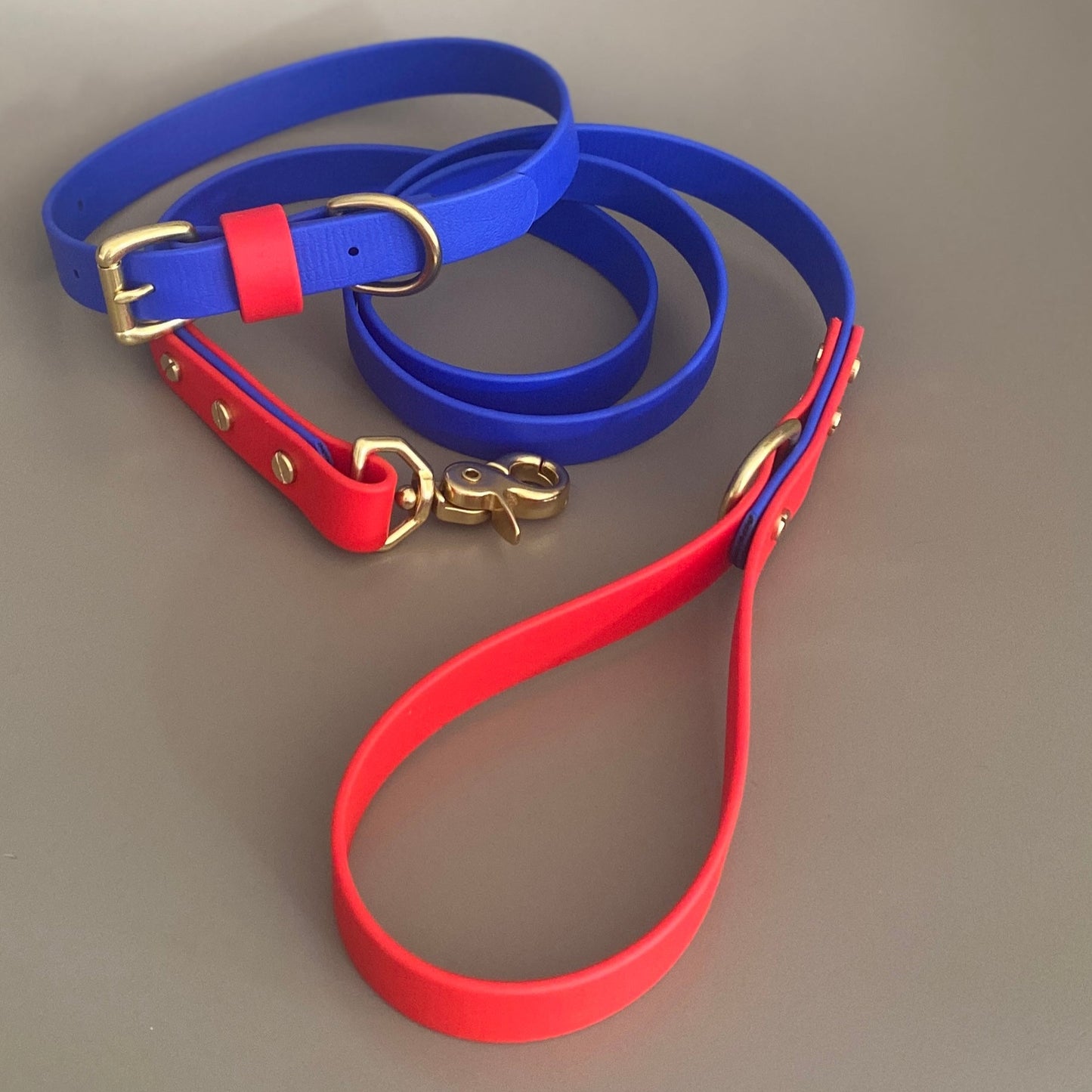Chica Colourblock BioThane® Collar