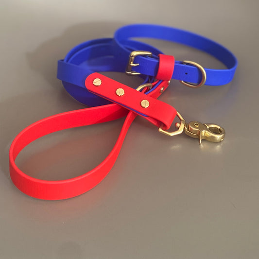 Chica Colourblock BioThane® Collar