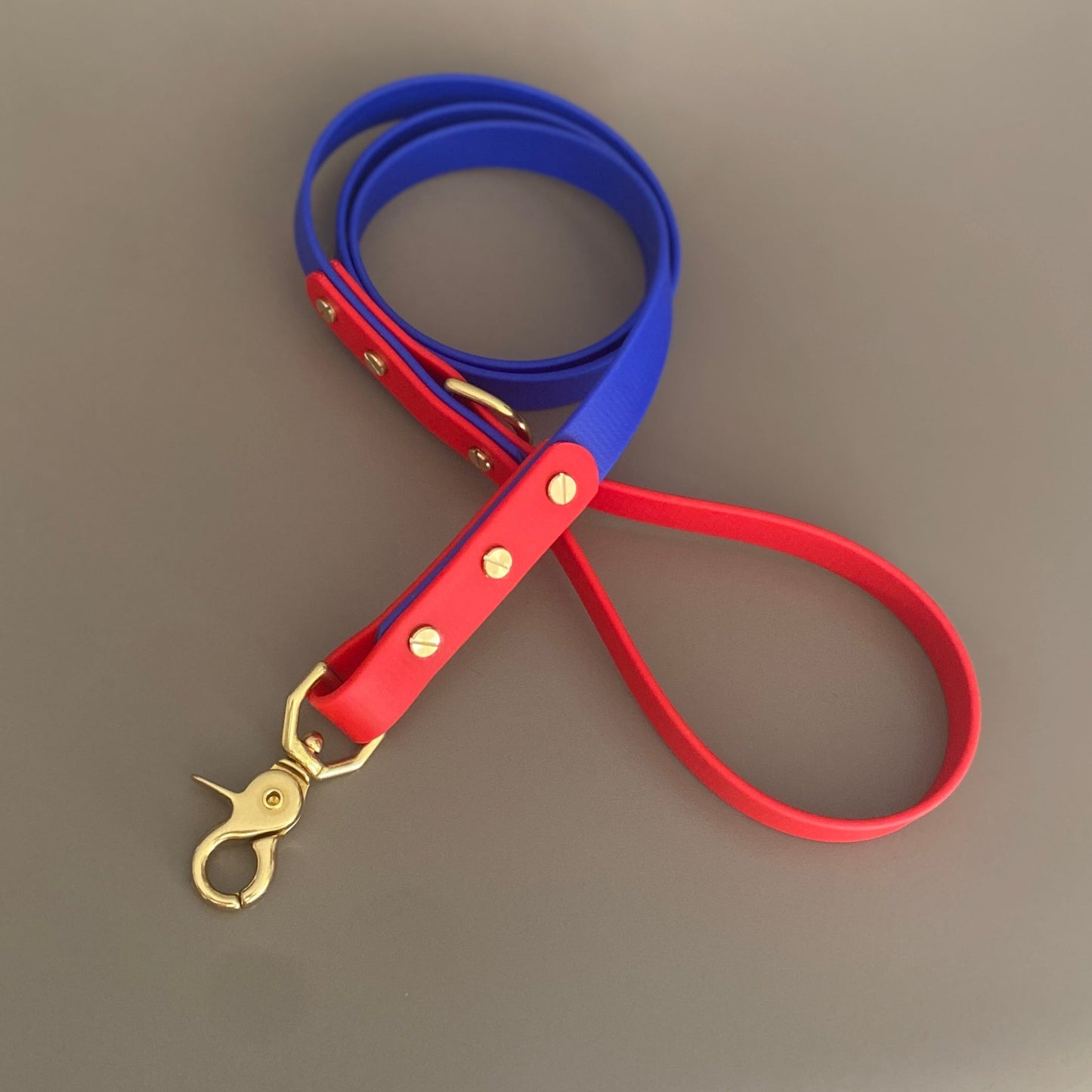 Chica Colourblock BioThane® Lead