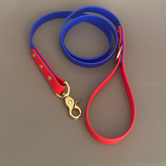 Chica Colourblock BioThane® Lead