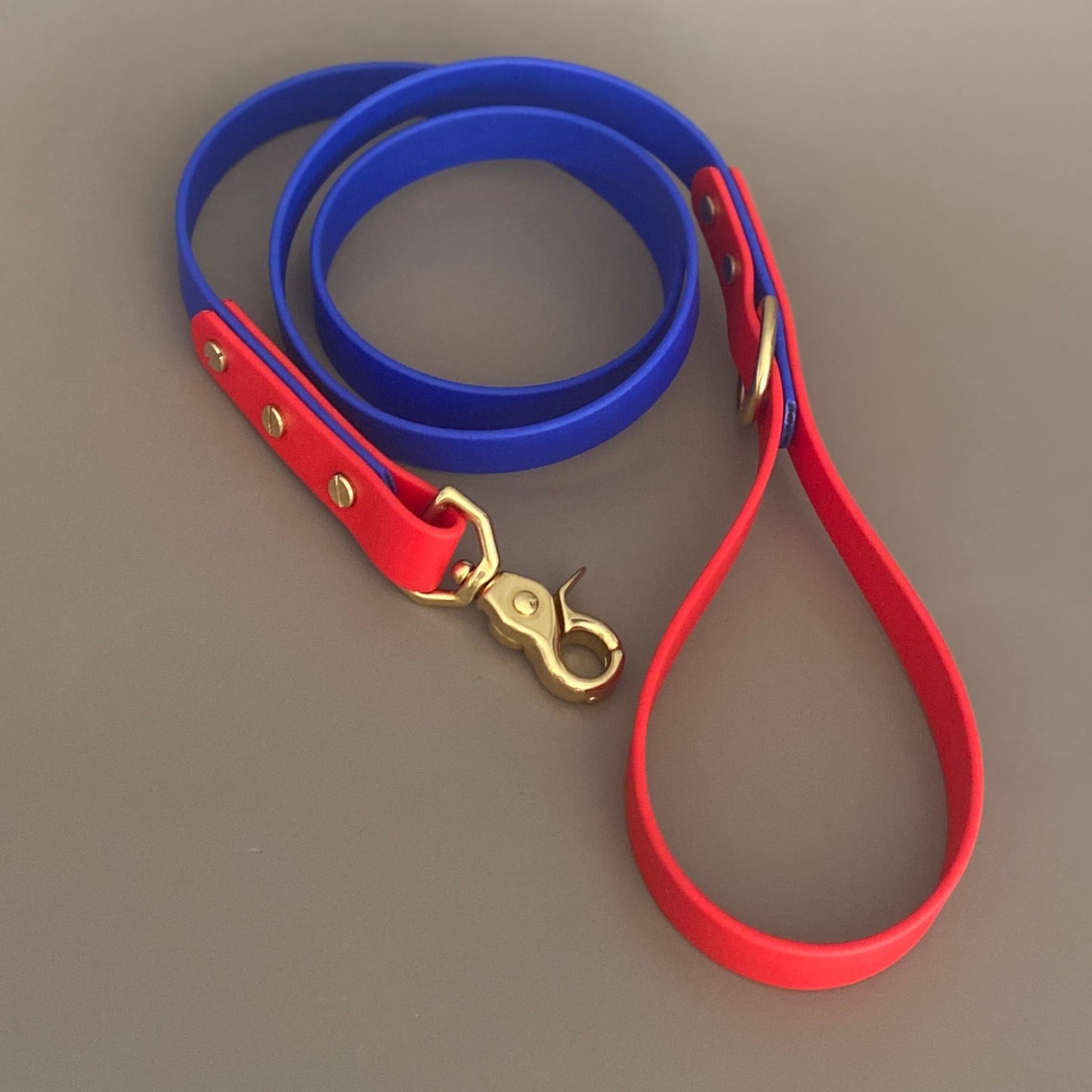 Chica Colourblock BioThane® Lead