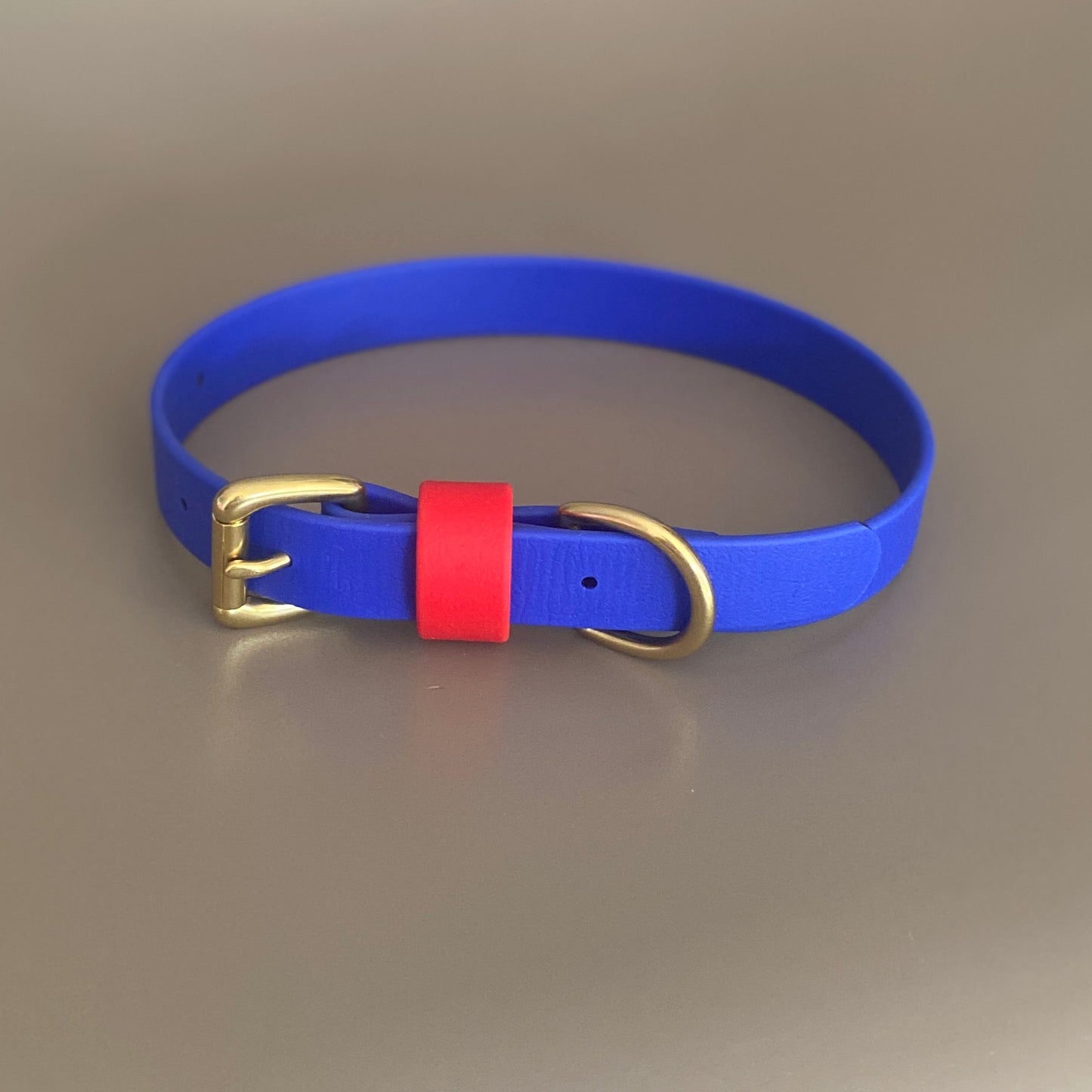Chica Colourblock BioThane® Collar