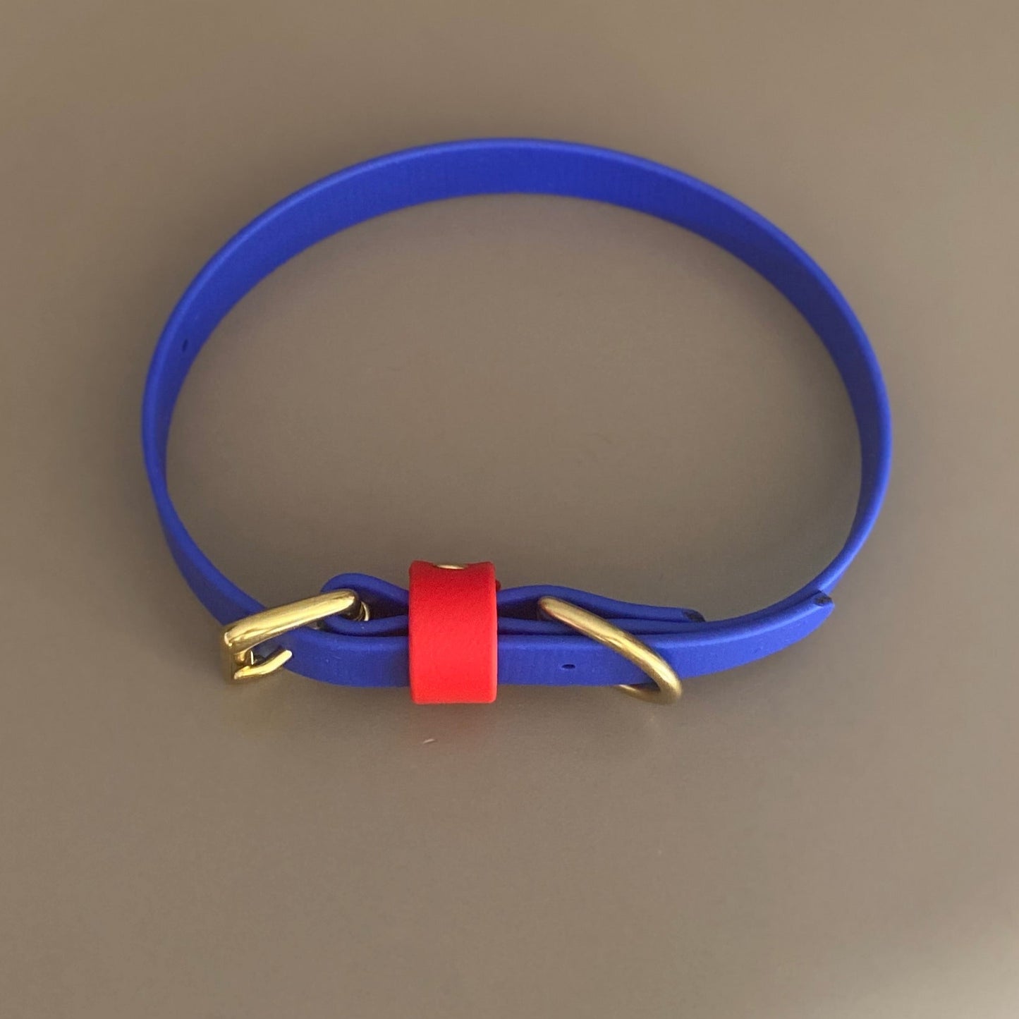 Chica Colourblock BioThane® Collar